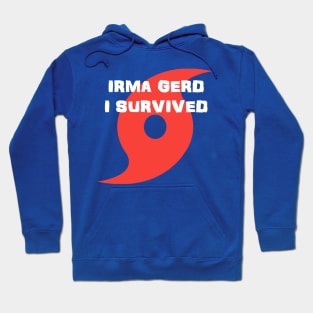 Irma for Charity 3 Hoodie